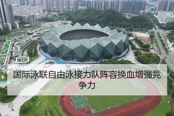 国际泳联自由泳接力队阵容换血增强竞争力